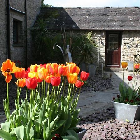 Birslack Grange Kendal Esterno foto