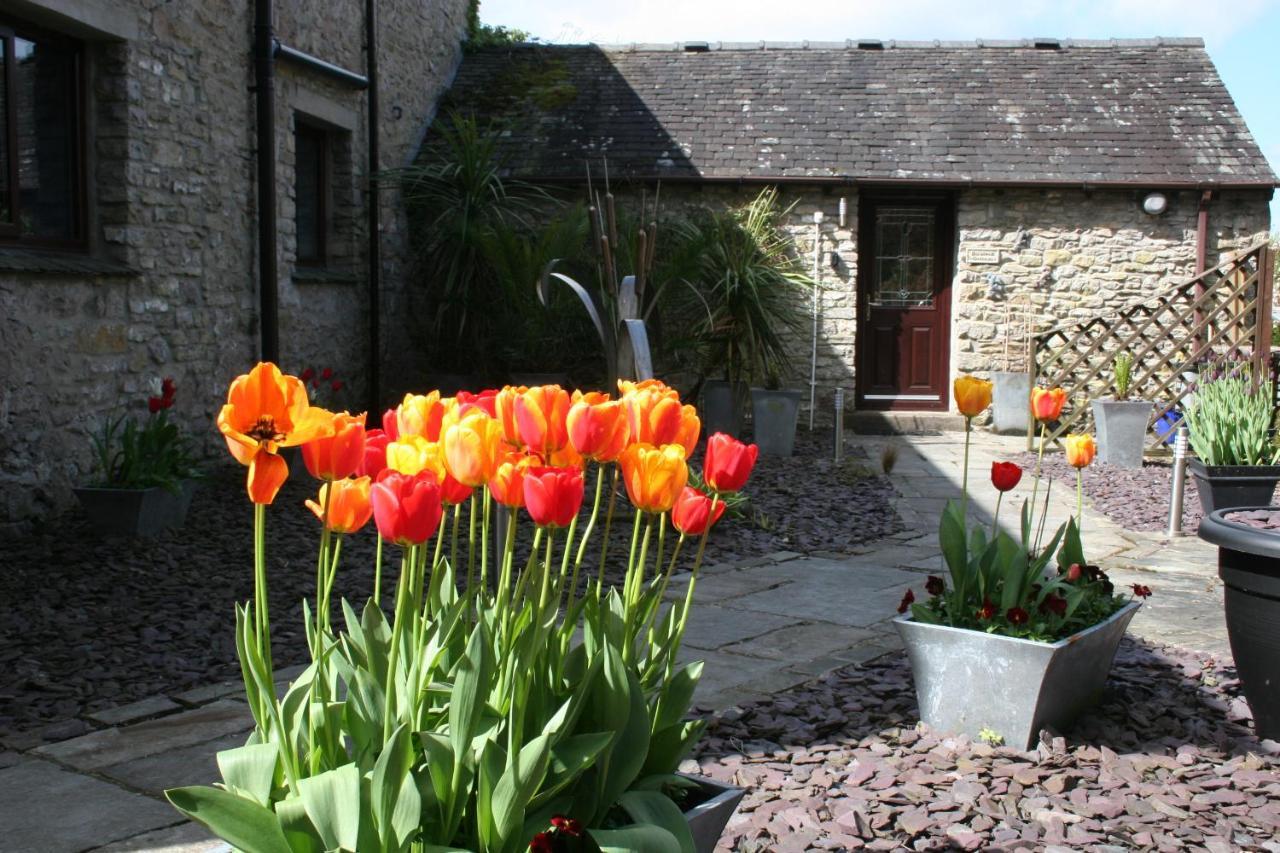 Birslack Grange Kendal Esterno foto
