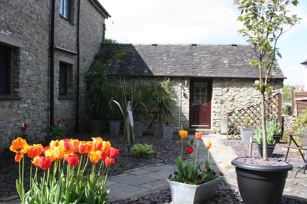 Birslack Grange Kendal Esterno foto